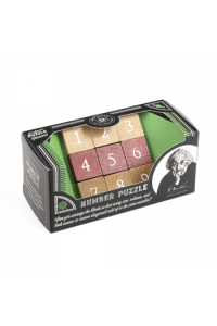 IGRA EINSTEIN wood and metal Professor Puzzle