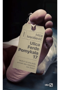 Ulica Ferde Pomykala 17