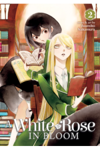 A White Rose In Bloom 02