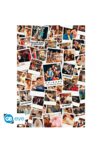 Friends - Poster Maxi 91.5X61 - Polaroids