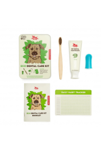 Kikkerland Eco Dental Care Kit
