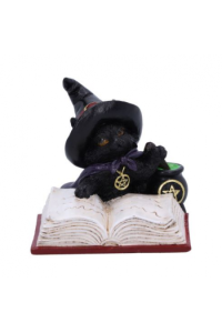 Nemesis Now FamiliarS Brew 8,5cm