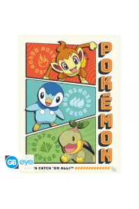 Pokemon - Portfolio 9 Posters Starters (219,7)