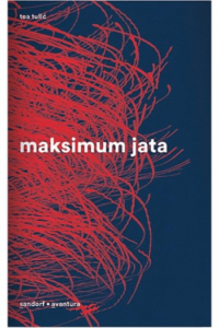 Maksimum jata