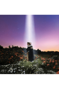 Honne - Let S Just Say The World Ended CD - omot