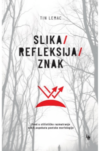 Slika, refleksija, znak