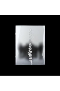 Desire : Unleash (Make Ver.)