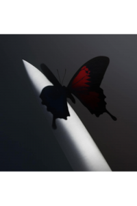 Twelve Carat Toothache