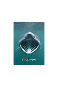 I Love Plankton 3D Razglednica