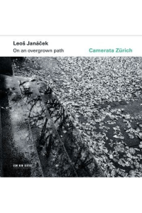 On an Overgrown Path