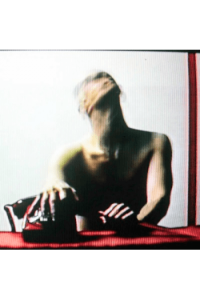 Rouge Carpet Disaster + Single