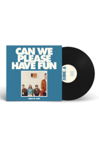 Can We Please Have Fun