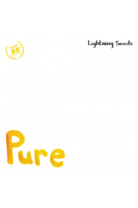 Pure, All I Want (35 Anniversary RSD 2024)