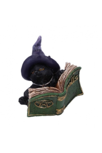 Nemesis Now KittyS Grimoire (Green) 8,2cm