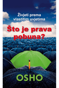 Što je stvarna pobuna? m.u.