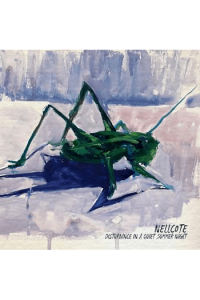 Distrubance in a Quiet Summer Night