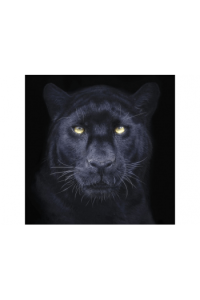 Panther Selfie Big 3D Razglednica