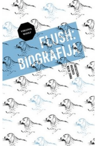 Flush - biografija