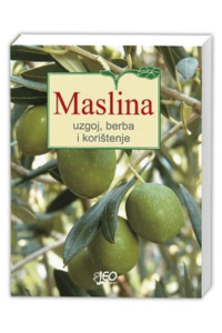 Maslina