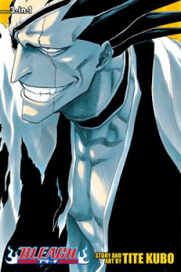 Bleach (3-in-1 Edition), Vol. 05