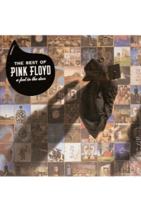 Best Of/A Foot In The Door