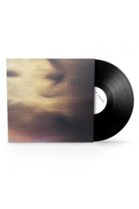 State Of The Nation Single